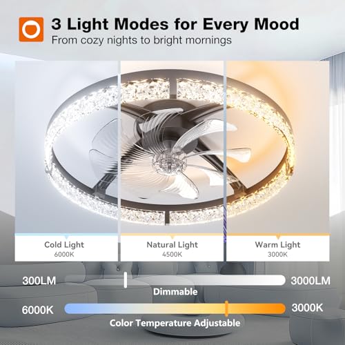 addlon Ceiling Fans with Lights and Remote, 24'' Low Profile Ceiling Fans, 3000-6000K Dimmable Modern Flush Mount LED Fan Light, Fandelier Ceiling Fan for Bedroom, Kitchen, Living Room, Office, Black