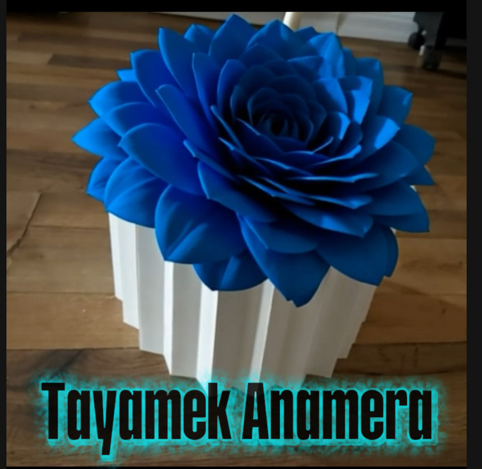 4pcs Présentoirs en papier élégants – 20/40/60/80 cm