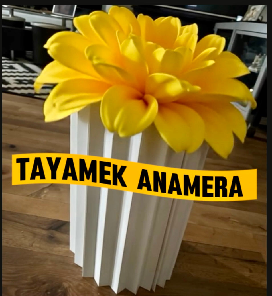 4pcs Présentoirs en papier élégants – 20/40/60/80 cm